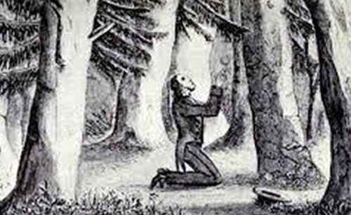 Charles Finney in the wood
