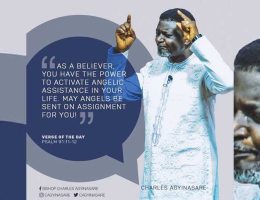 Activate Angelic Assistance  - Charles Agyinasare
