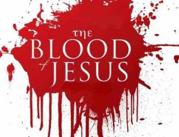 Valued Freedom  - Dag Heward-Mills