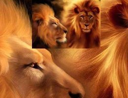 Name Your Real Enemy  - Mike Murdock 