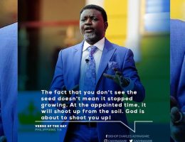 Hold Your Head High  - Charles Agyinasare